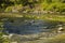 River with nice grassy river banks and stones inside on a nice sunny day