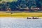 River nile, Egypt, Aswan, boats, river side, river bank, trees, palm trees, farm, nature, landscape, beauty, beautiful