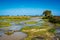 River Oued Laou in north part of Morocco, Africa