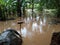 River overflows in Sri Lanka