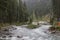 River panjkora flowing in the kumrat deodar forest