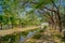 River Path at Lagenda Park Langkawi
