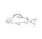 River perch, goby fish continuous line drawing. One line art of freshwater fish, seafood, marine animals.