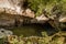 River and plants in gorge