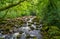 The River Plym on Dartmoor