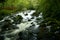 River plym on dartmoor national park devon