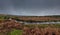 River Plym near Brisworthy Burrows. Looking upstream , Dartmoor National Park, Devon Uk