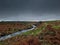 River Plym near Brisworthy Burrows. Looking upstream , Dartmoor National Park, Devon Uk