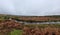 River Plym near Brisworthy Burrows. Looking upstream , Dartmoor National Park, Devon Uk