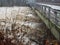 River Po flood in Turin