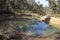 River Pool at Crooked Brook Western Australia in winter.