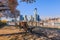 River promenade with trees in Frankfurt at springtime with skyline in the background