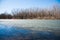 River quietly flowing flows through the forest in early spring