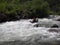 River rafting in the white caped river