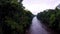 River in the rainforest. Camera moving down to the river