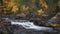 River with rapids along the Wilderness Road with trees in autumn in Jämtland in Sweden