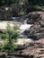 River rapids at Dells of Eau Claire County Park in Wisconsin