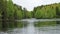 A river with rapids flowing in the wake of a wild forest. Republic of Karelia. Russia.