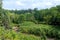 River Ravine in Jay Cooke State Park