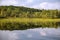 River with reeds and reflection