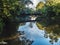 River Reflection