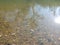 River reflection with a little stones inside