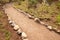 River Rock Lined Dirt Garden Path