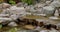 River with rocks in Japanese garden in Krasnodar. Traditional asian park