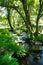 River Running Into Burrator Reservoir