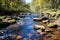 a river running through a forest with rocks and trees