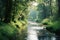 a river running through a lush green forest