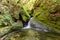 River running through the rainforest vegetation