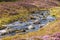 River Running through a scottish heather glen