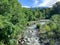 A river runs through lush vegetation in the Italian countryside