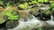 River runs over boulders