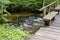 River SaidÄ— flows in the Neris Regional Park in Lithuania.