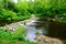 River Sanzile passes through the green forest