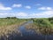 A river on Schiermonnikoog