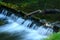 River in Scottish Park