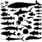 River and sea fish silhouette set. Marine fish and mammals. Sea