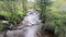 River Severn running through Hafren forest, in Powys, mid Wales