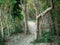 River side trail through regrowing Riparian forest