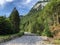 The river Sihl or Sihl Fluss before the artificial lake Sihlsee, Studen - Canton of Schwyz, Switzerland