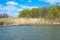 The river in the spring with still yellow plants on the banks. And the forest in the background. Blue sky and white