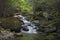 River Sream Mount Washinton area via Ammonoosuc ravine trail