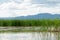 River in steppe. prairie