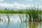 River in steppe. prairie