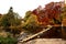 River stepping stones with autumn colours.