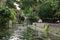 The river Stour in the center of Canterbury, England