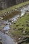 River stream on a green springtime landscape